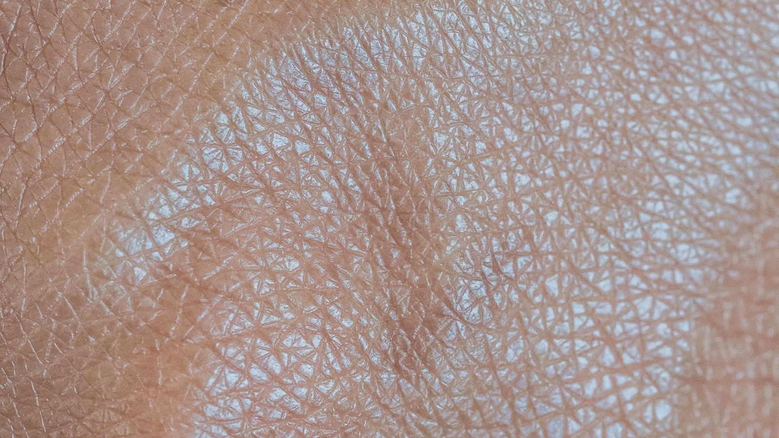 FACIALES - LA CABINA